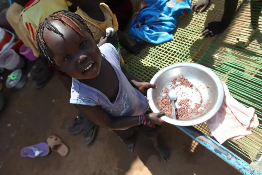 Since 2024, more than 315,000 people have received livelihoods support, and 135,000 have been reached with Housing, Land and Property assistance through the Upper Nile Durable Solutions Roadmap (Photo: © UN South Sudan)