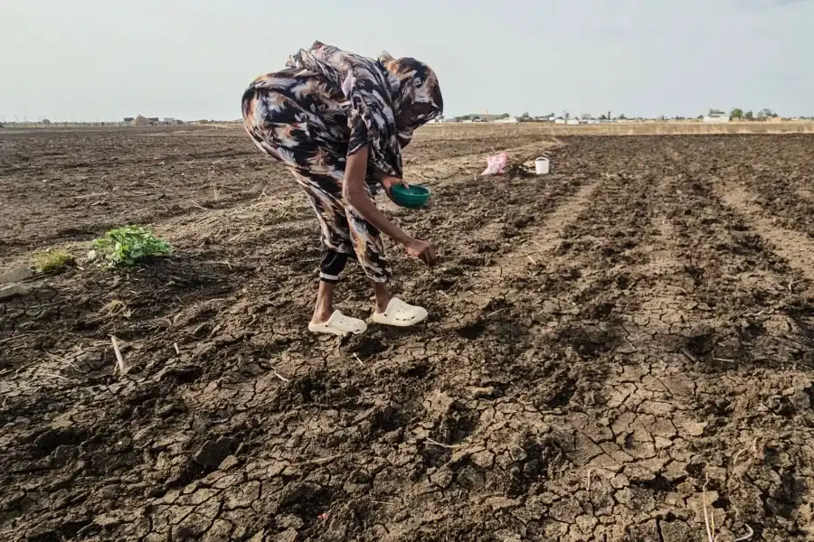 A Sudanese farmer plants seeds in an agricultural field in Gedaref State eastern Sudan on July 18 2026