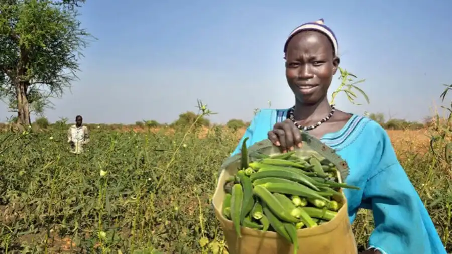 Catholic religious congregation in Solidarity with South Sudan - supporting agriculture (Photo Credit: Vatican News)
