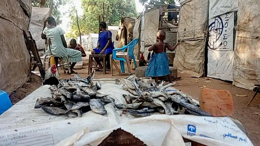 Displaced families in Mundri live in limbo amidst persistent violence between armed forces (Photo Credit: UNMISS)