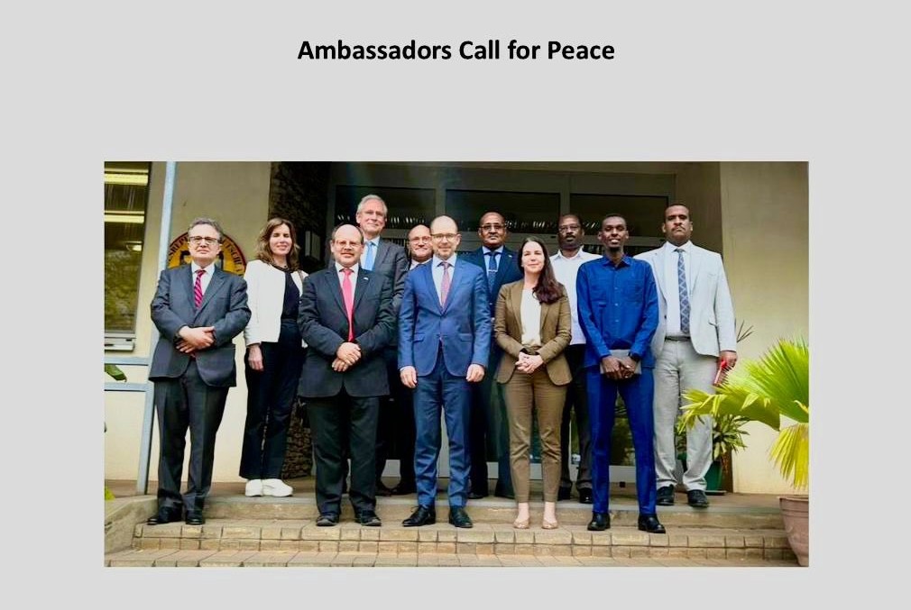 (Twitter/ X / German Embassy South Sudan)