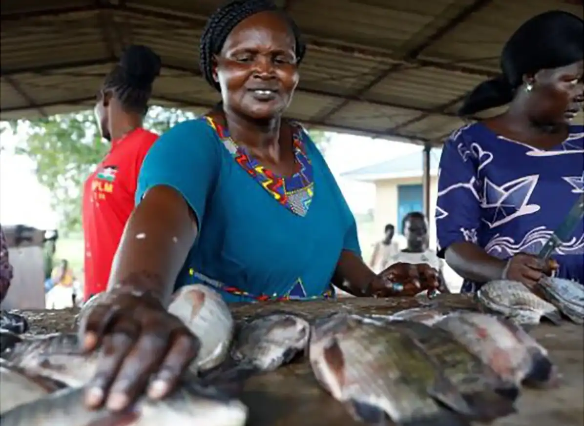 FAO estimates sustainable production in South Sudan could reach 300,000 MT a year (Photo courtesy of the Food and Agriculture Organization)