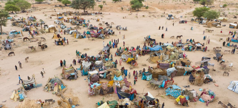 Sudanese refugees in Chad set up makeshif shelters (File photo: © UNHCR / Colin Delfosse)