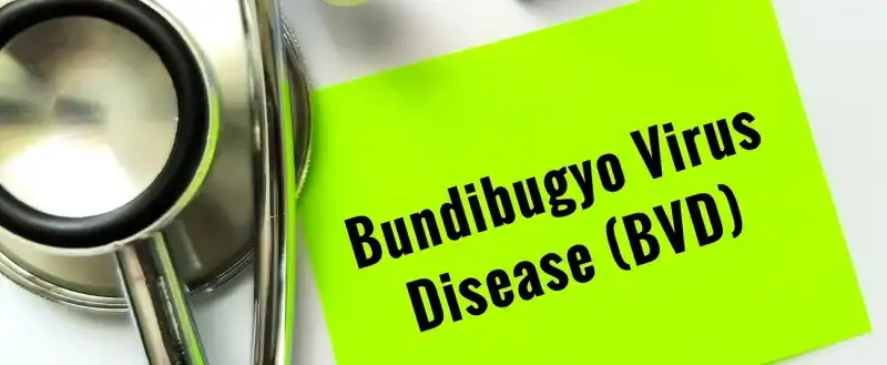 The African Development Bank Group to provide 13 million to bolster Ebola response outbreak in Democratic Republic of the Congo South Sudan and Uganda