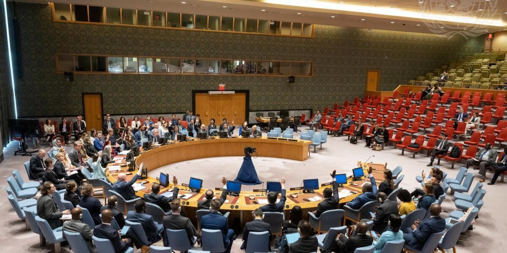 Security Council (File Image)
