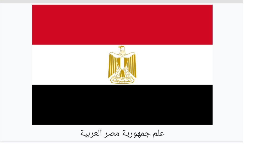 https://pachodo.org/images/egypt-flag.png