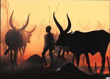 Dinka Boy