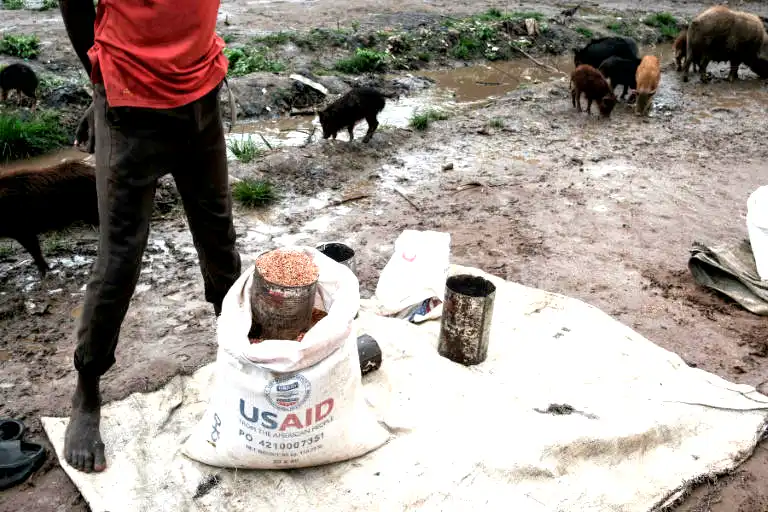 Aid rations replace currency in South Sudan