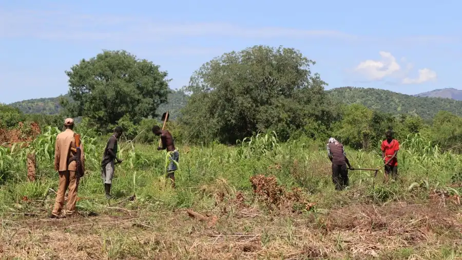 Reformation meets growth with the Green Corrections Initiative in South Sudan