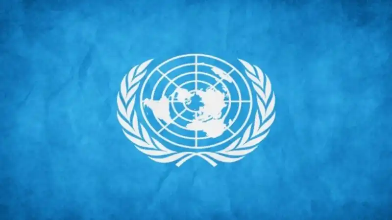 un united nations logo
