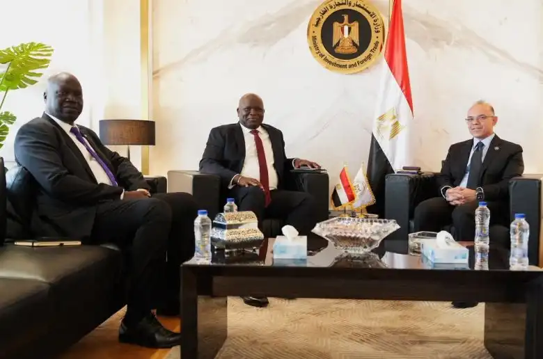 مصر وجنوب السودان تبحثان تعزيز التعاون الاستثماري في قطاعات الزراعة والطاقة